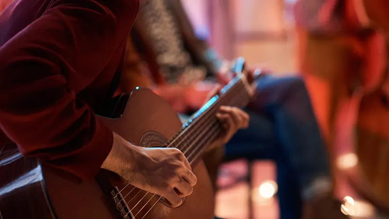 Palacio del Flamenco en Granada